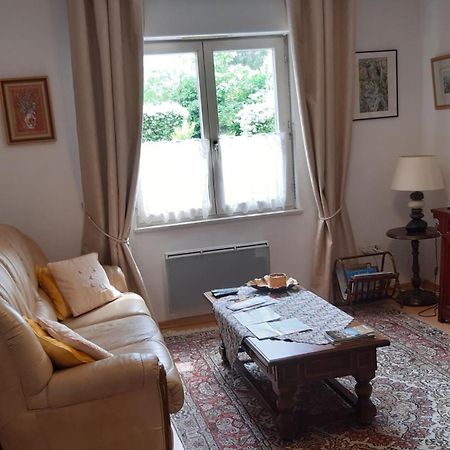 Klipfel Little Venice كولمار المظهر الخارجي الصورة